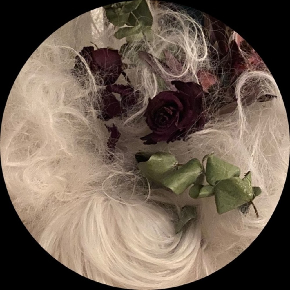 Meet your Posher, Jeanette